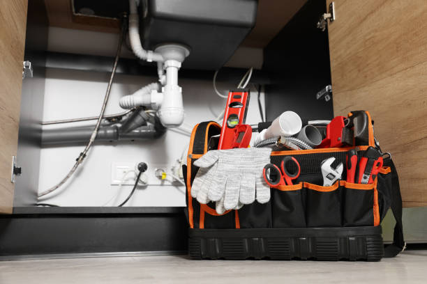 Best Local Plumber Services  in Colesville, MD