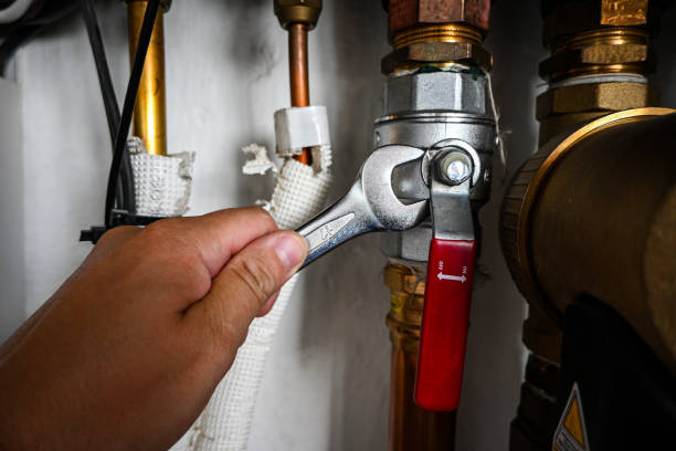 Best Toilet Repair Services  in Colesville, MD